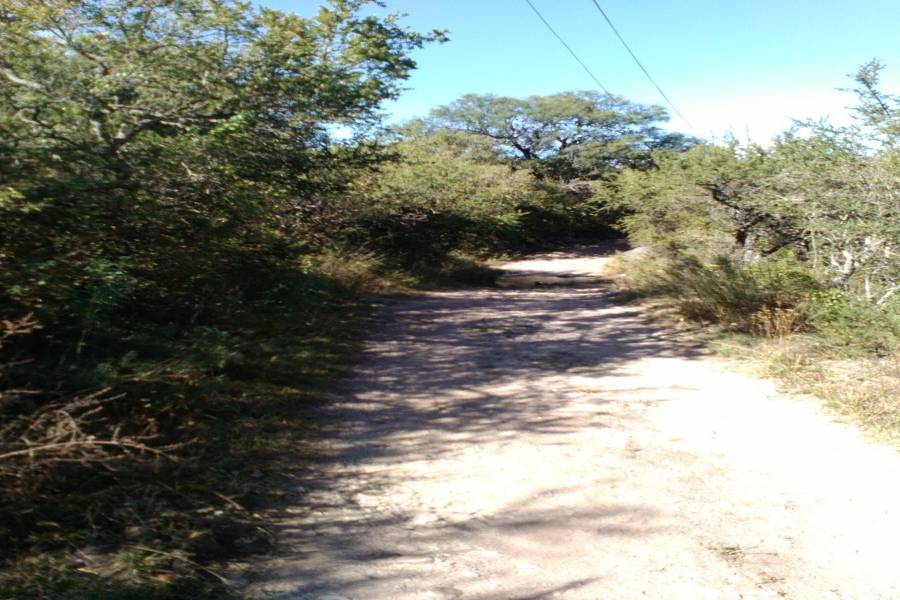 Loma Bola,Córdoba,Argentina,Lotes-Terrenos,1337